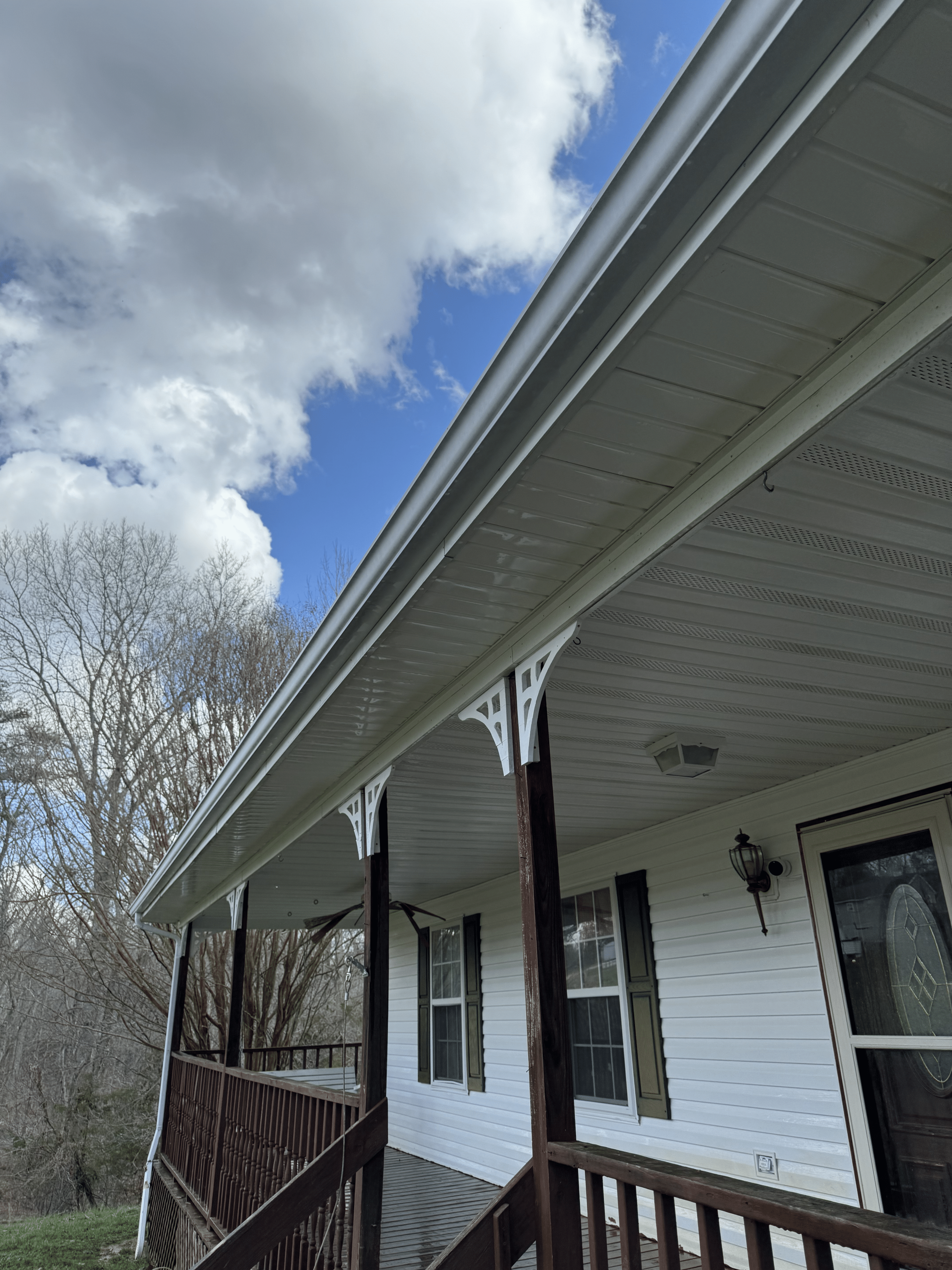 Gutter Cleaning